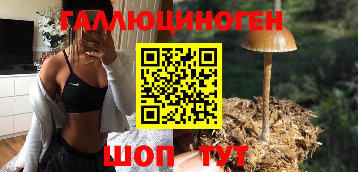 Тавда  Галлюциногенные грибы прущие грибы  Вход с VPN 